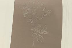 Oblie�ky issimo Home HERA HNED� sat�n,v��ivka