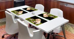 Prestieranie ML��AT�